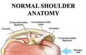 肩关节的松动术疗法详细解读（含动图）