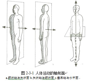 图2-3-1.jpg