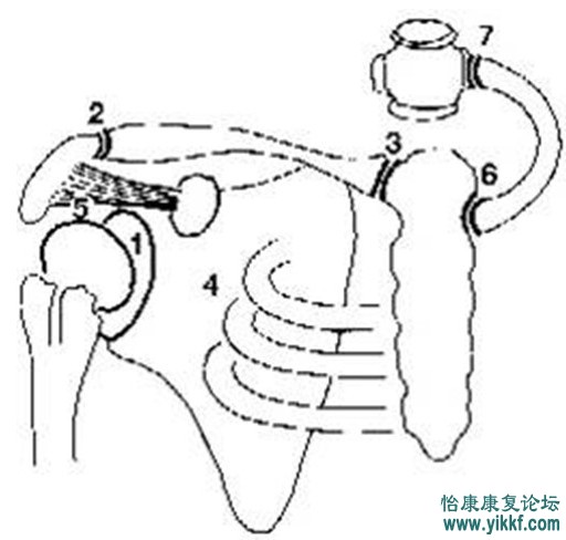 QQ截图20130312223110.jpg