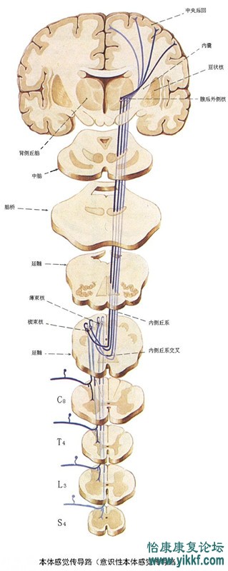 psb (36)_副本.jpg