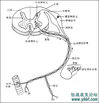 psb (37)_副本.jpg