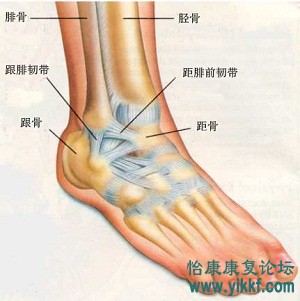 距下关节不稳(Instability of Subtalar joint)