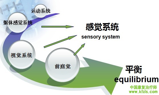 平衡功能训练.ppt