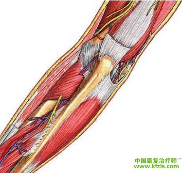 肱骨外上髁炎与网球肘