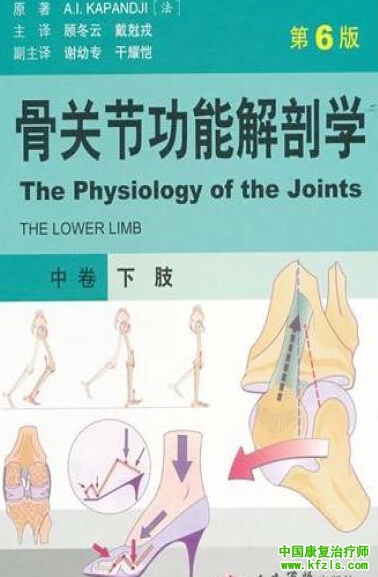 骨关节功能解剖学_中卷——下肢