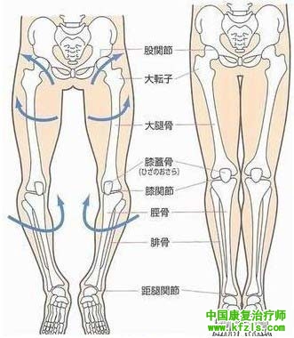 O型腿或X型腿引起关节炎的原因