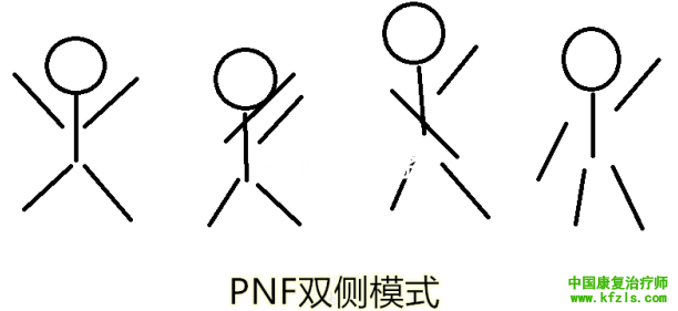 PNF运动模式的主要特征