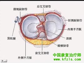 膝关节半月板损伤的治疗护理及康复