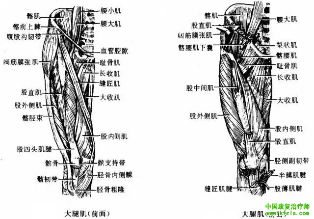 偏瘫病人膝过伸的原因和处理策略