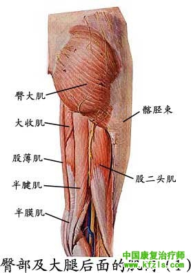 偏瘫病人膝过伸的原因和处理策略