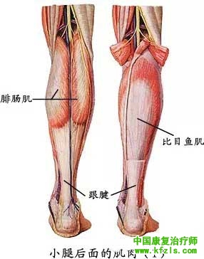 偏瘫病人膝过伸的原因和处理策略