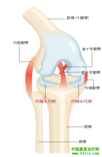 膝