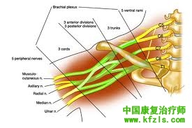 臂丛神经损伤