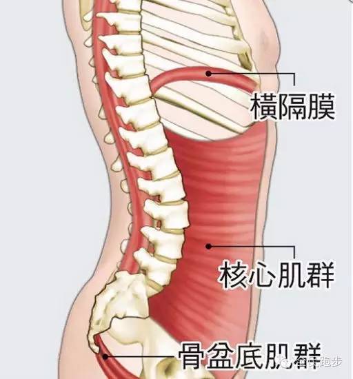 核心肌力