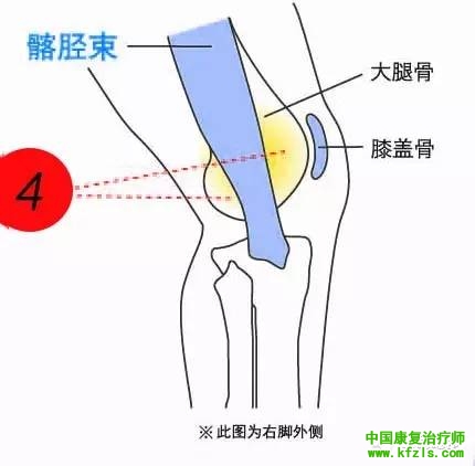 膝关节