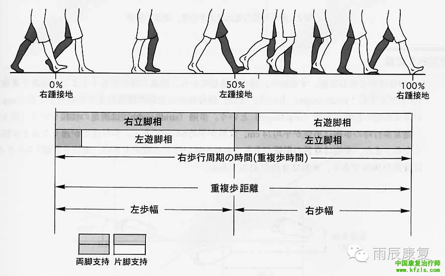 步态分析