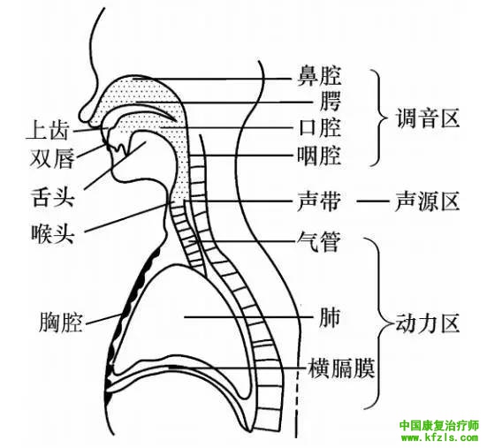 构音障碍