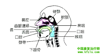 构音障碍