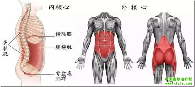 核心肌