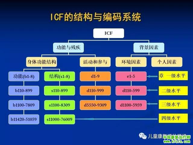 ICF-CY框架下脑瘫儿童评估