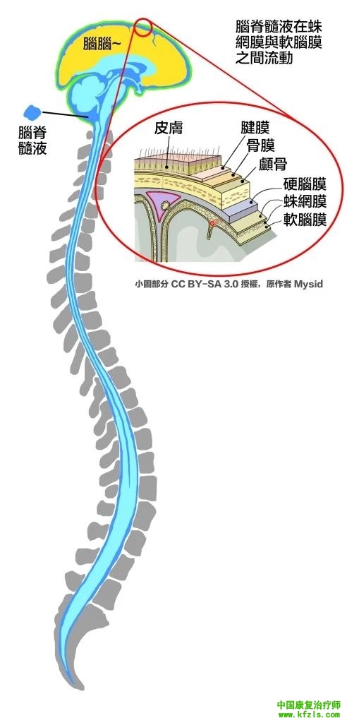 颅荐椎疗法