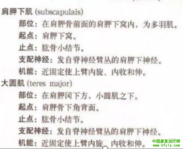 fb64bcb8f80058c327180c4b8b7acab4.jpg