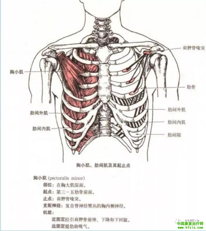 3c250be802f6a9aec32dd340acf3b787.jpg