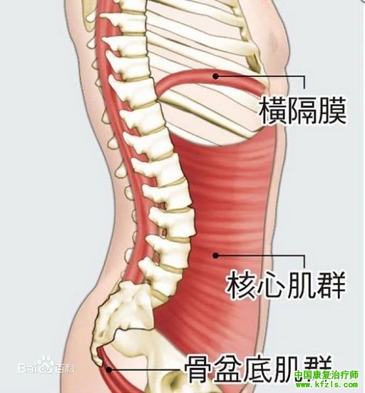 麦肯基疗法