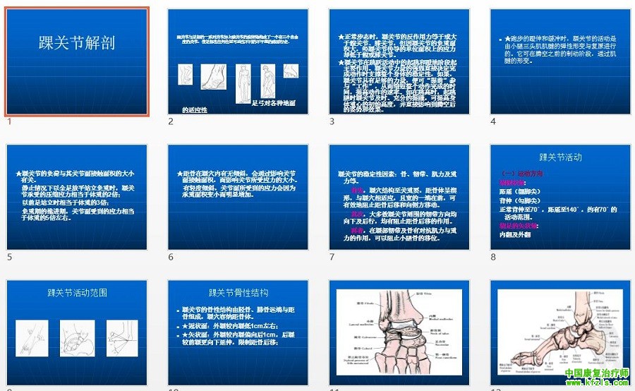 踝关节解剖(详解).ppt