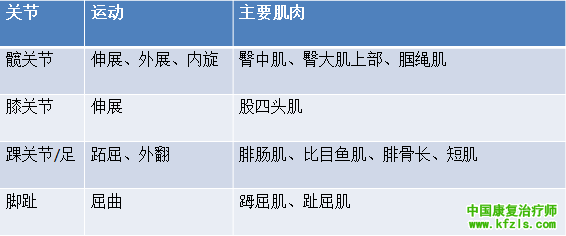 dd70ff81407d4e38fc34e091fc438f60.png