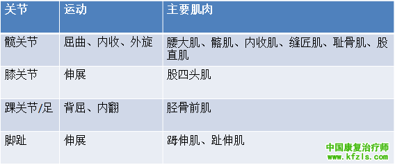 522b782863f06440a0cea4eeba9642dd.png
