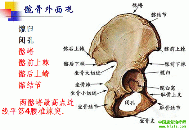 3406fe86edbc0b07546f7a19ac1e1035.gif