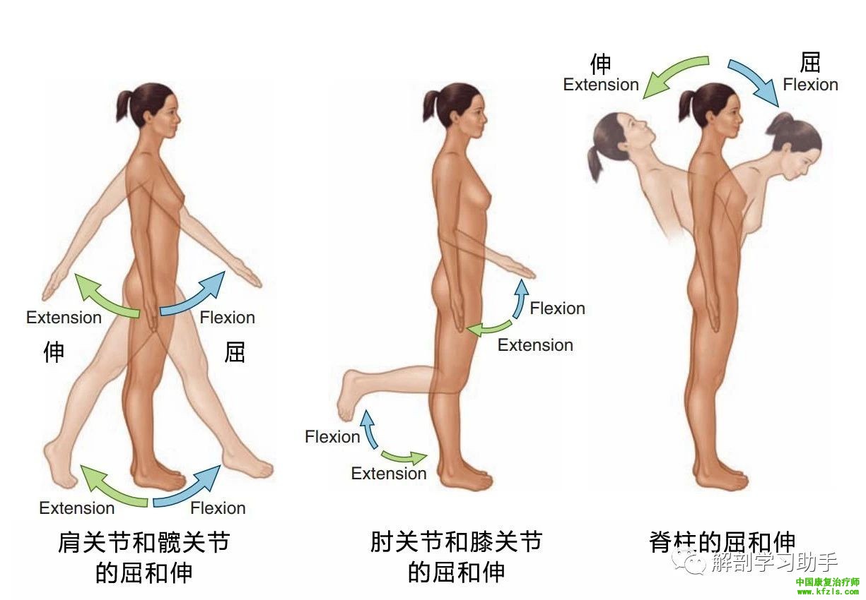 4b423d1a6d7a399cf27f1f40bd753f45.jpg