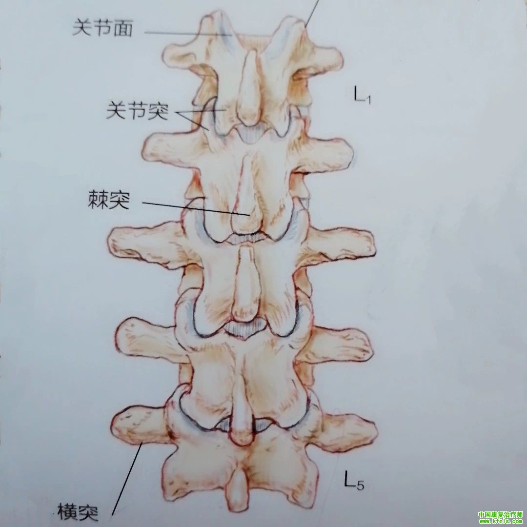 臂丛神经痛