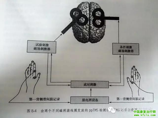 成对脉冲刺激（pp-TMS）