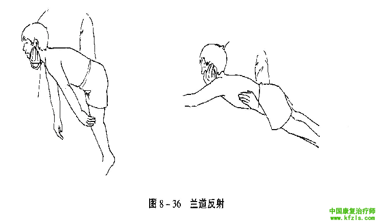 原始反射检查