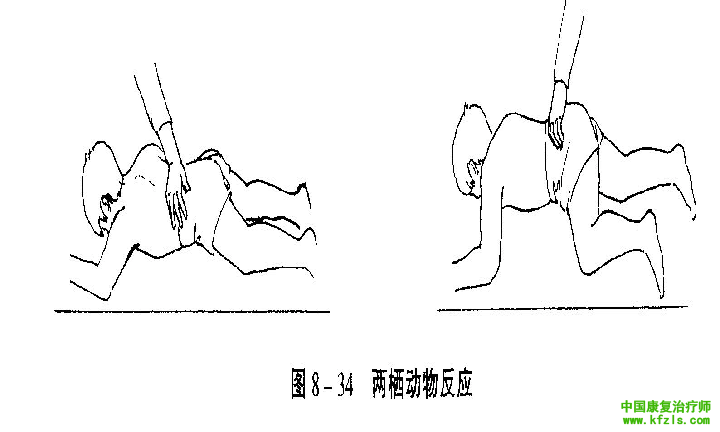 原始反射检查