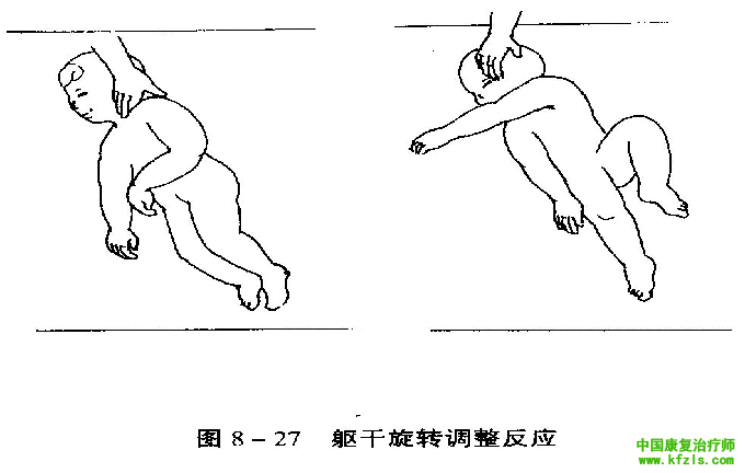 原始反射的检查