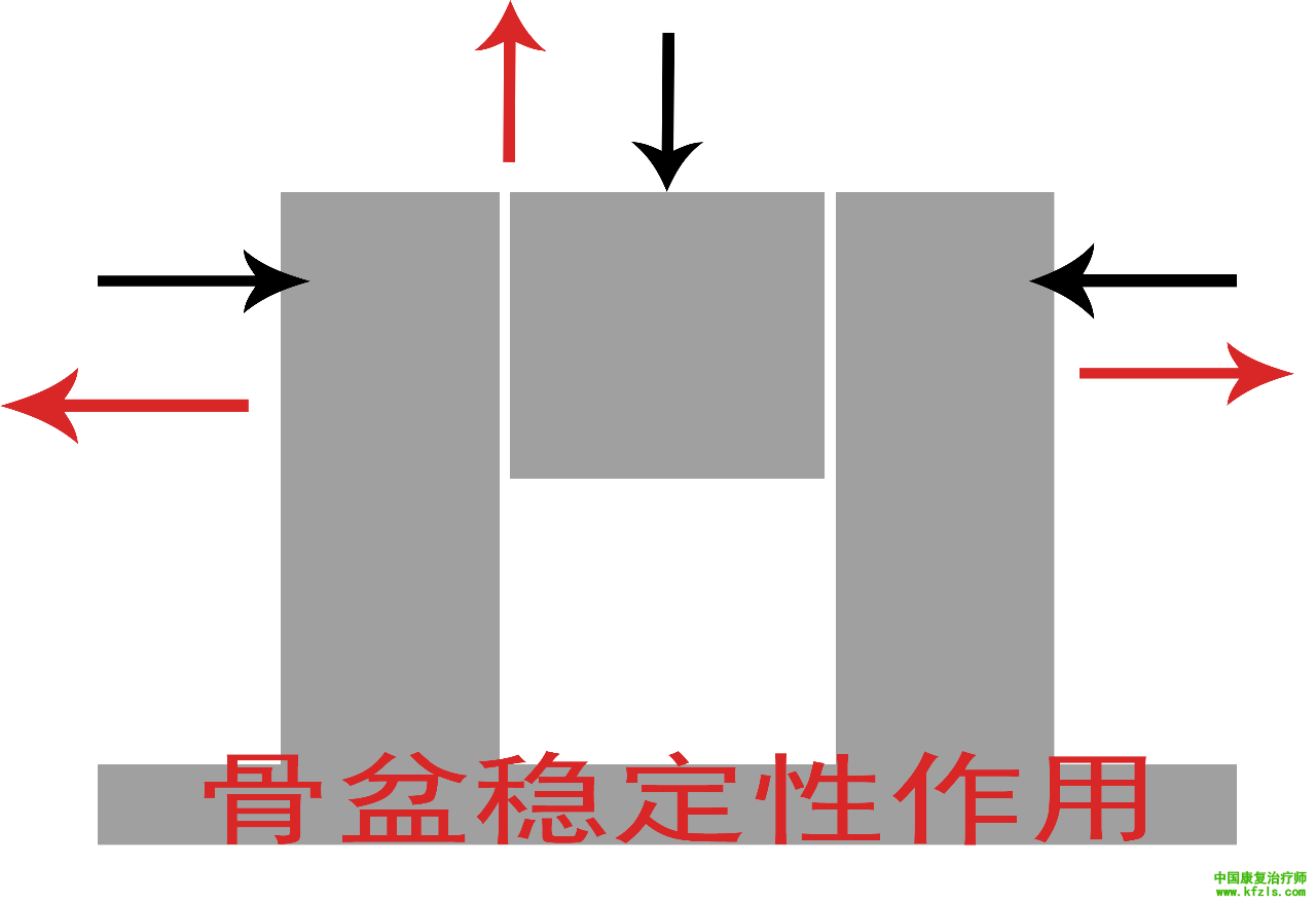 起源日本的康复治疗技术：躯干的物理运动疗法