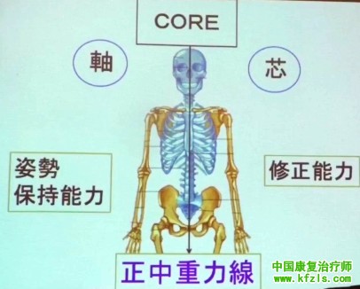 起源日本的康复治疗技术：躯干的物理运动疗法