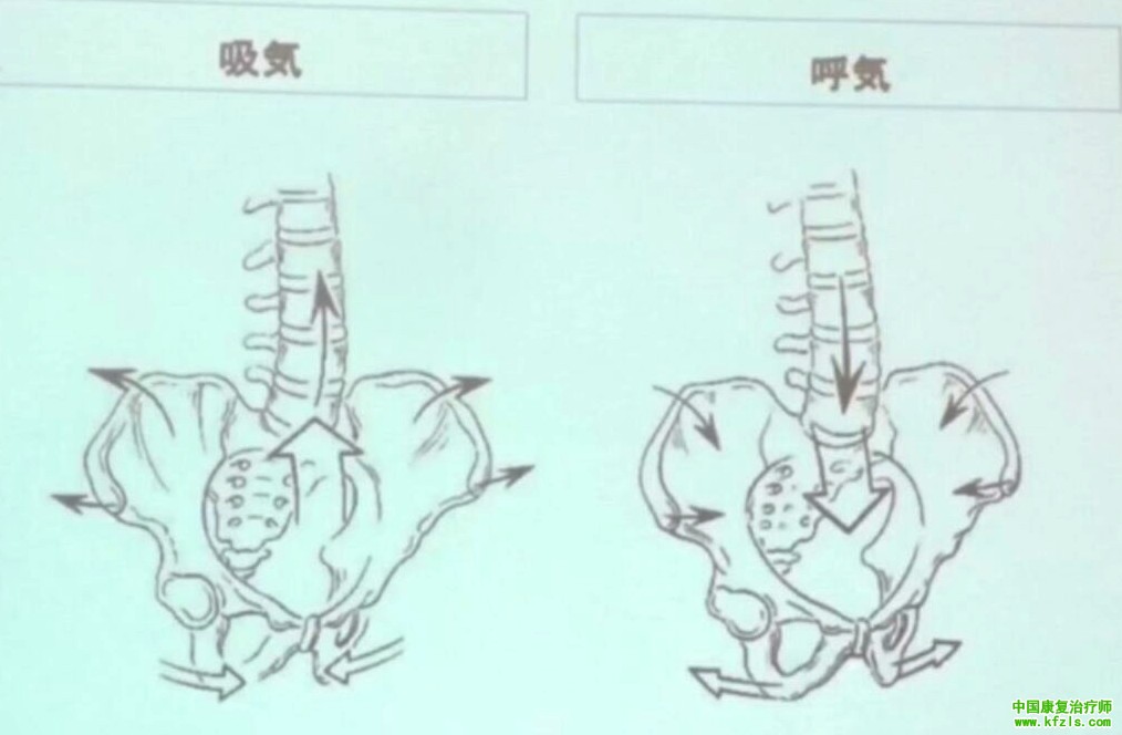 起源日本的康复治疗技术：躯干的物理运动疗法