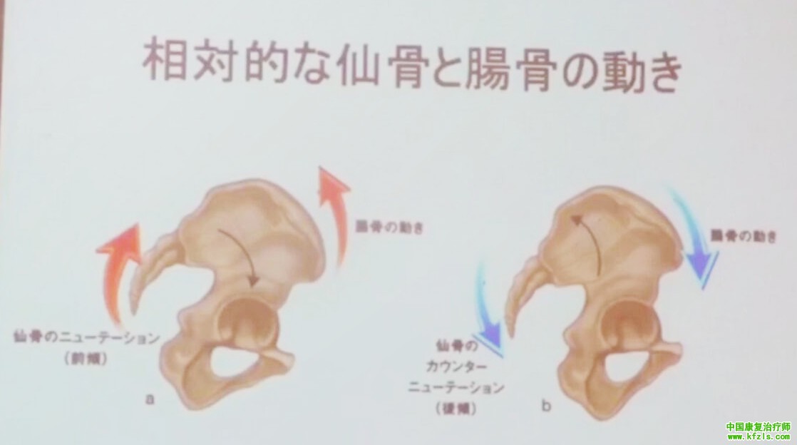 起源日本的康复治疗技术：躯干的物理运动疗法