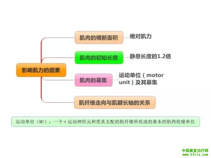 【职考必背】康复基础知识思维导图