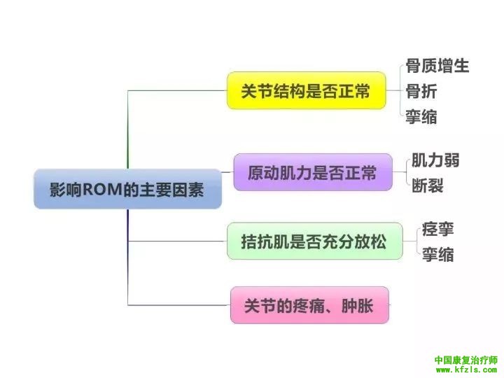 【职考必背】康复基础知识思维导图