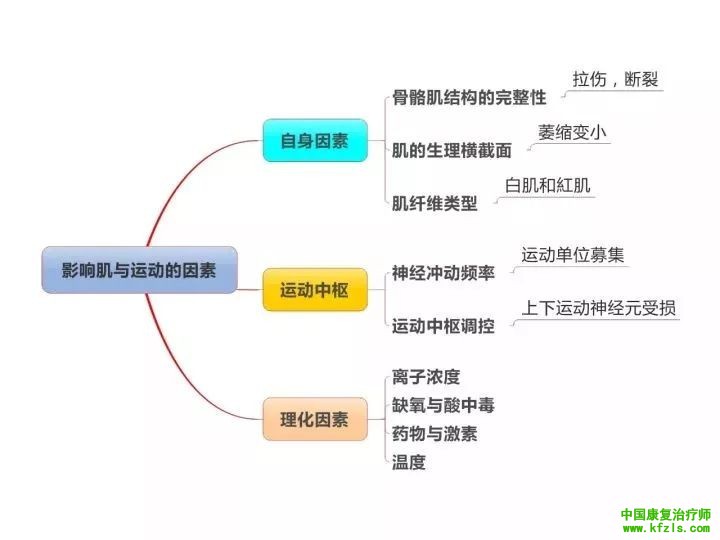 【职考必背】康复基础知识思维导图