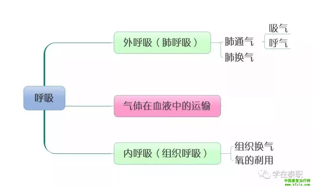 【职考必背】康复基础知识思维导图