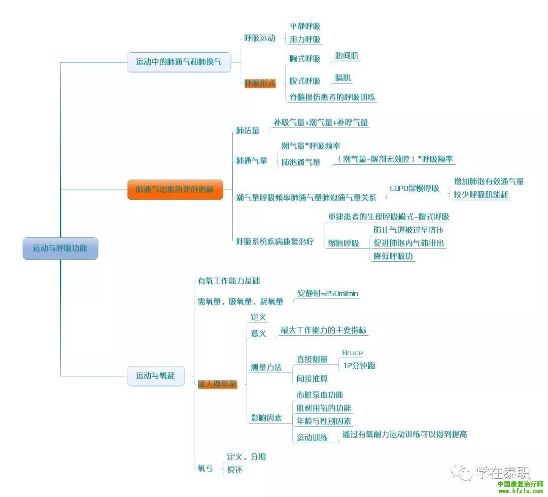 【职考必背】康复基础知识思维导图