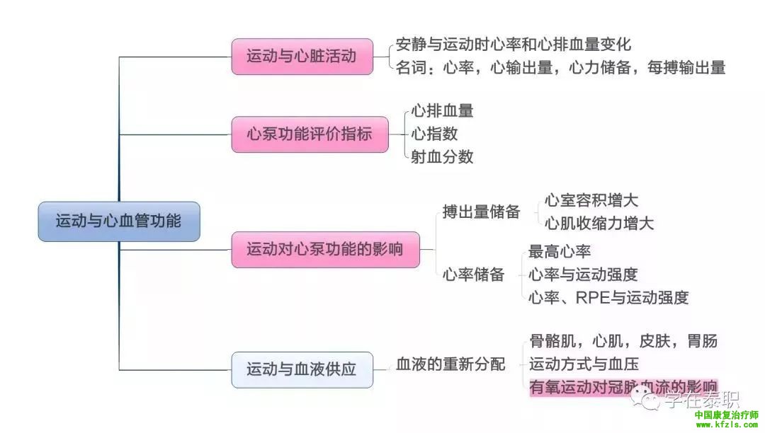 【职考必背】康复基础知识思维导图