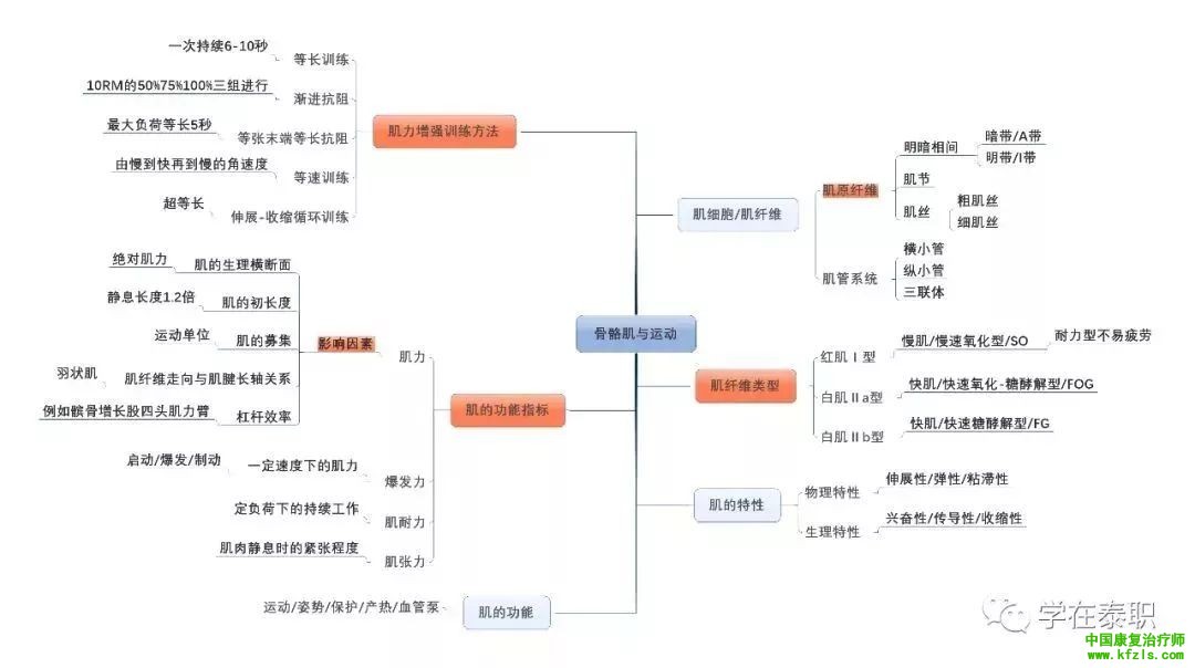 【职考必背】康复基础知识思维导图