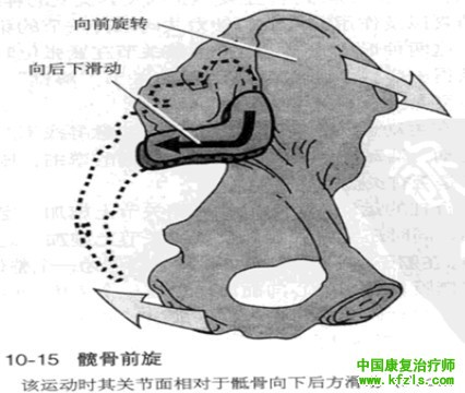 骨盆的体格检查